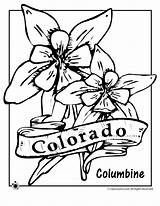 Colorado Coloring Flower State Clipart Pages Columbine Oregon Jr Clipground Printables Designlooter Drawings Print Classroom 880px 04kb sketch template