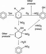 Benzene Phenol Nitrobenzene Scheme Pathways sketch template
