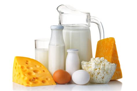 lacteos la importancia de consumir productos derivados de la leche