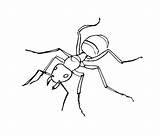 Ant Fire Drawing Coloring Getdrawings sketch template