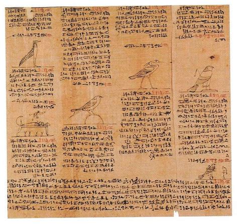 william h peck papyrus of nes min the papyrus of nes