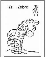 Coloring Zebra Alphabets Zz sketch template
