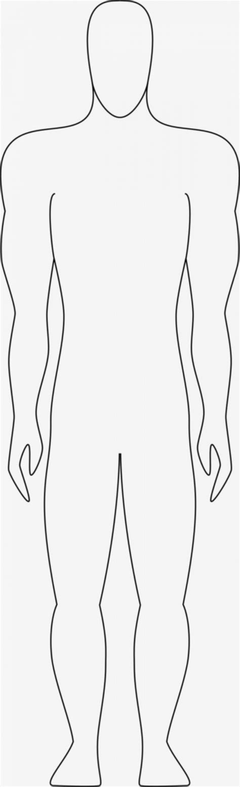 outline  body clipart human body outline printable human clipart
