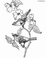 Tattoo Bird Coloring Pages sketch template