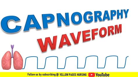 capnography waveforms normal capnography waveform abnormal capnography waveform youtube