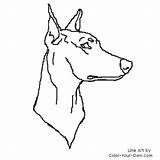 Doberman Coloring Pinscher Head Dog Drawings Own Color Designlooter Pages Study 500px 85kb sketch template