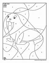 Walrus Coloring Woojr 101coloring Cbn Fact sketch template