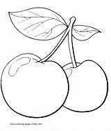 Cerezas Kirschen Vegetable Frutas Cherries Pintar Drus Moldes Mariposas Granadas Frutillas Limones Uvas sketch template