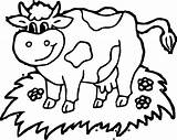 Coloring Cow Head Pages Farm Getcolorings Printable Animals Color Print Sheets Choose Board Kids sketch template