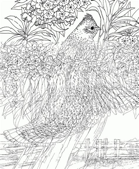 printable nature coloring pages  adults pictures colorist