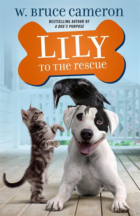lily   rescue  childrens books nappa awards