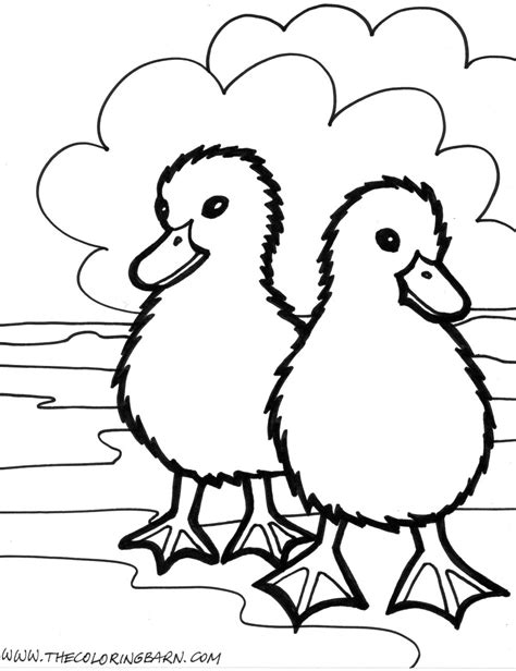 farm animal coloring pages    print