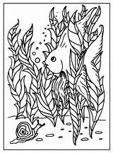 Coloring Pages Intermediate Sheets Getcolorings Fish Colouring Julia Freecoloringpages sketch template