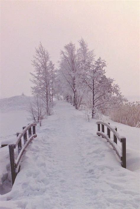 winter snow dreamy nature