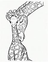 Giraffe Coloring Pages Baby Drawing sketch template