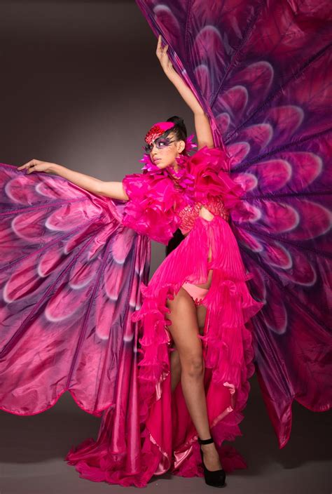 The Flamingo Rio Carnival Costumes Carnival Costumes Flamingo Costume