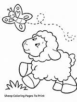 Coloring Pages Sheep Preschool Getcolorings Lamb Printable sketch template