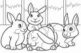 Bunnies Bunny sketch template
