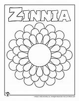 Zinnia sketch template