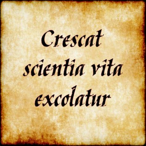 seneca quotes in latin quotesgram