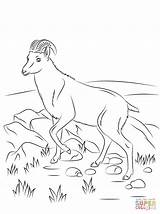 Coloring Goat Pages Tahr Nilgiri Wild Animal Printable Kids Whippet Color Goats Print Sheets Drawing Bestcoloringpagesforkids Getcolorings Rocks Choose Board sketch template