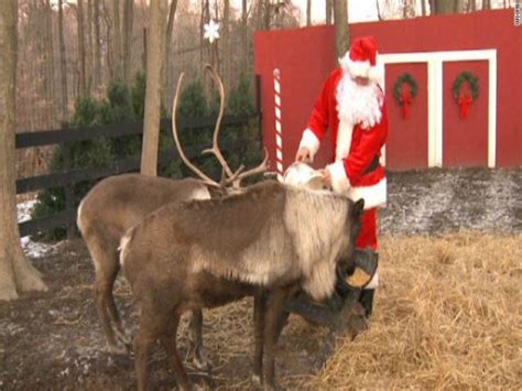 Watch Santa Feed The Reindeer