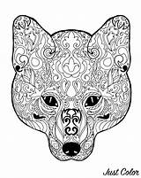 Renard Coloriage Foxes Tete Adulti Coloriages Motifs Zorros Renards Volpi Adultos Tête Animaux Stampare Zorro Animales Justcolor Nggallery Adultes Vitalcom sketch template