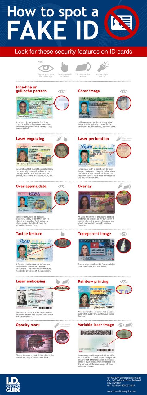 How To Spot A Fake I D Infographic Drivers License Guide