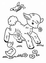 Coloring Sheep Cute Pages Animal Kids Baby Printables Wuppsy Animals sketch template