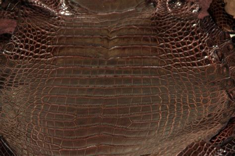 alligator leather wholesale alligator skins  production high