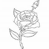 Rosebud Coloring Designlooter Sketch Rose Template Now sketch template
