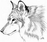 Wolf Pages Wolves Cally sketch template