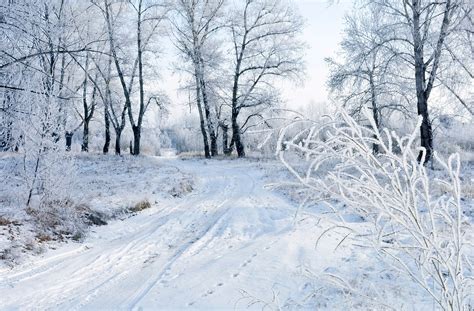 schnee winter landschaft kostenloses foto auf pixabay pixabay