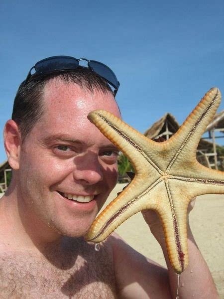 giant starfish photo