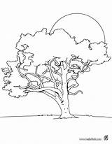 Tree Coloring Color Pages Lime Print Trees Hellokids Para Sheet Imprimir Book Colouring Online Dibujos Adult Colorear sketch template