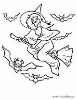 Witch Bats Coloring Flies Color Hellokids Print Pages sketch template