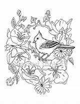 Punch Needle Tufted Titmouse sketch template
