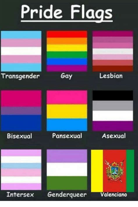 Pride Flags Lesbian Transgender Gay Pansexual Asexual Bisexual Intersex