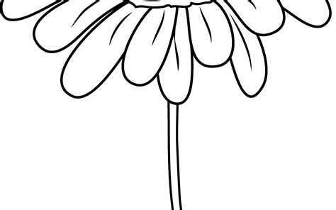 daisies flowers coloring pages coloring pages