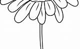 Flower Daisies Coloring Clipart Daisy Drawing Webstockreview Gardening sketch template