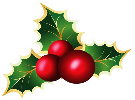 christmas holly transparent background
