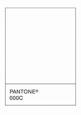 Pantone Paleta Bordes Ally Swatch Tonalità 000c Recuadros Recognition Tcx Pallete sketch template
