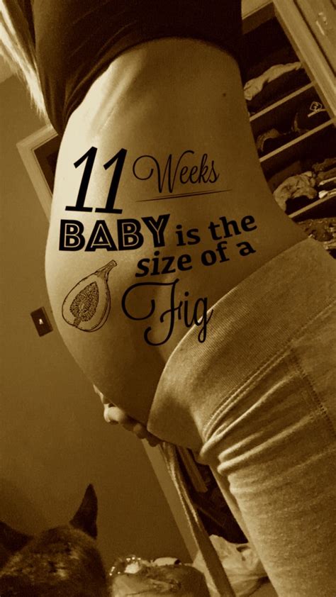 11 weeks 6 days pregnant glow community