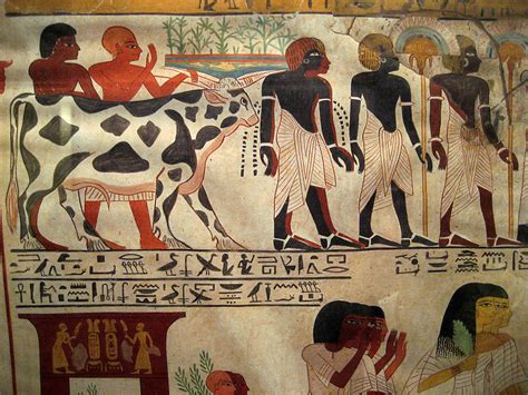 Egyptian Wall Paintings From The New Kingdom A Photo On