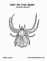 Crab Labeling sketch template