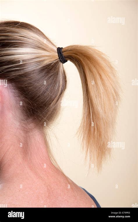 woman  ponytail hairstyle tied    rubber band stock photo