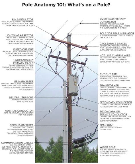 electric pole anatomy  electricity electrical lineman electrical wiring