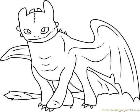 toothless coloring page    train  dragon coloring pages