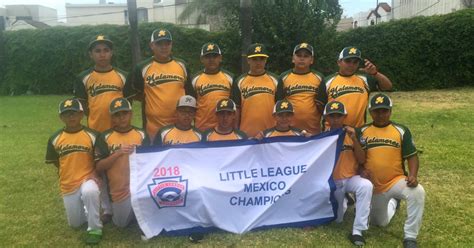 matamoros little league earns ticket to williamsport with undefeated
