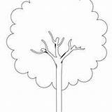 Tree Coloring Pages Chestnut Lime Oaks Clipartbest Hellokids Bonsai Maple Getdrawings Oak sketch template
